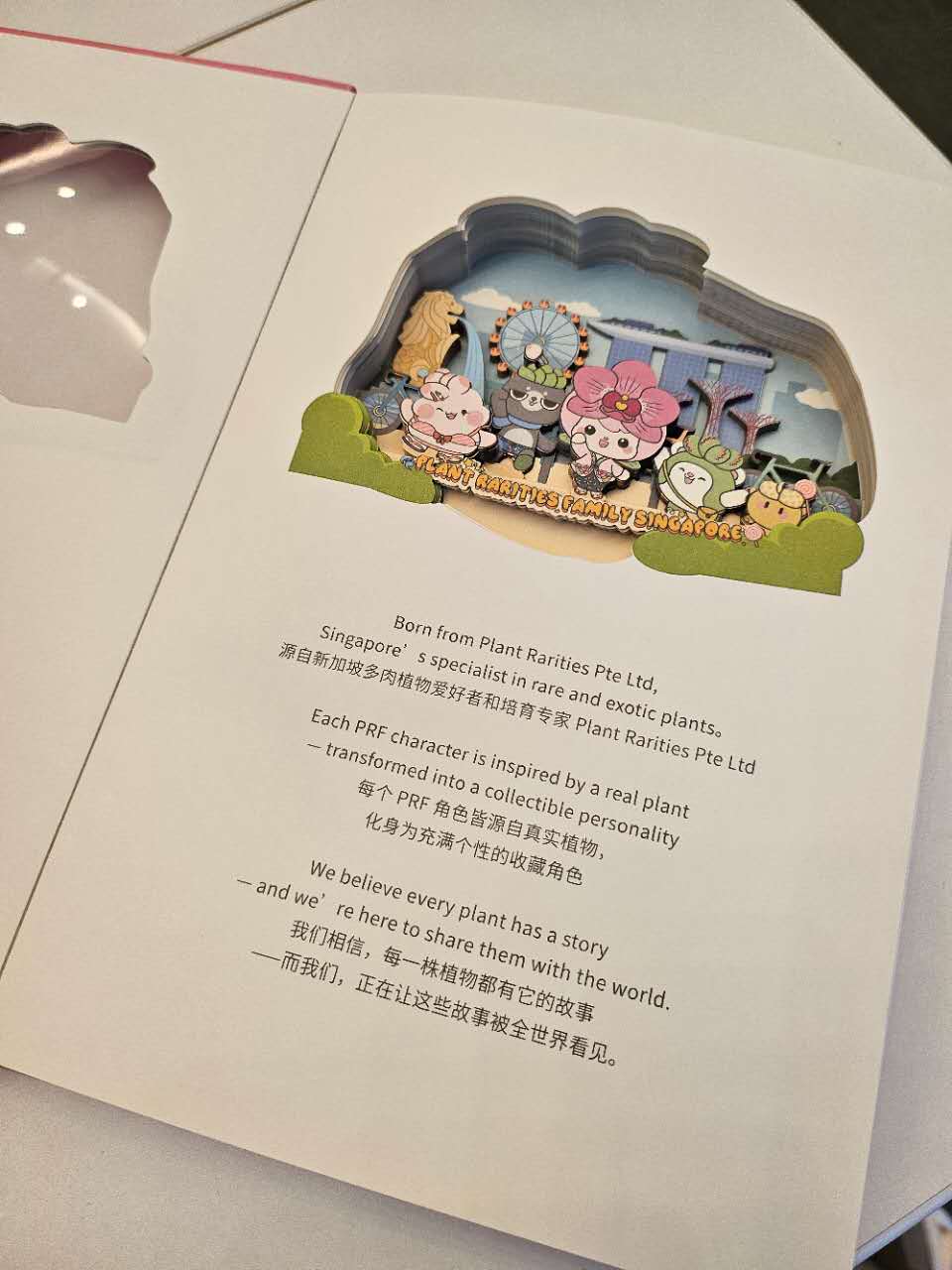 3D Paper Carving Notebook-Singapore Flyer